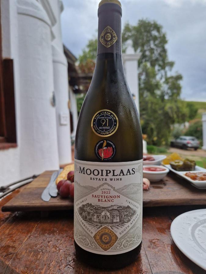斯泰伦博斯Mooiplaas Wine Estate公寓 外观 照片