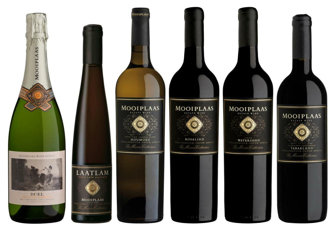 斯泰伦博斯Mooiplaas Wine Estate公寓 外观 照片