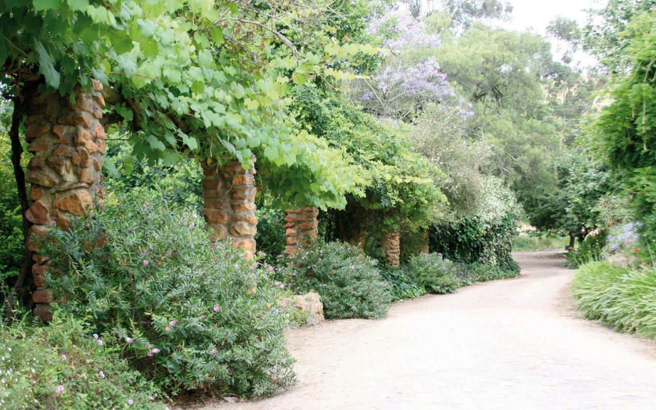 斯泰伦博斯Mooiplaas Wine Estate公寓 外观 照片