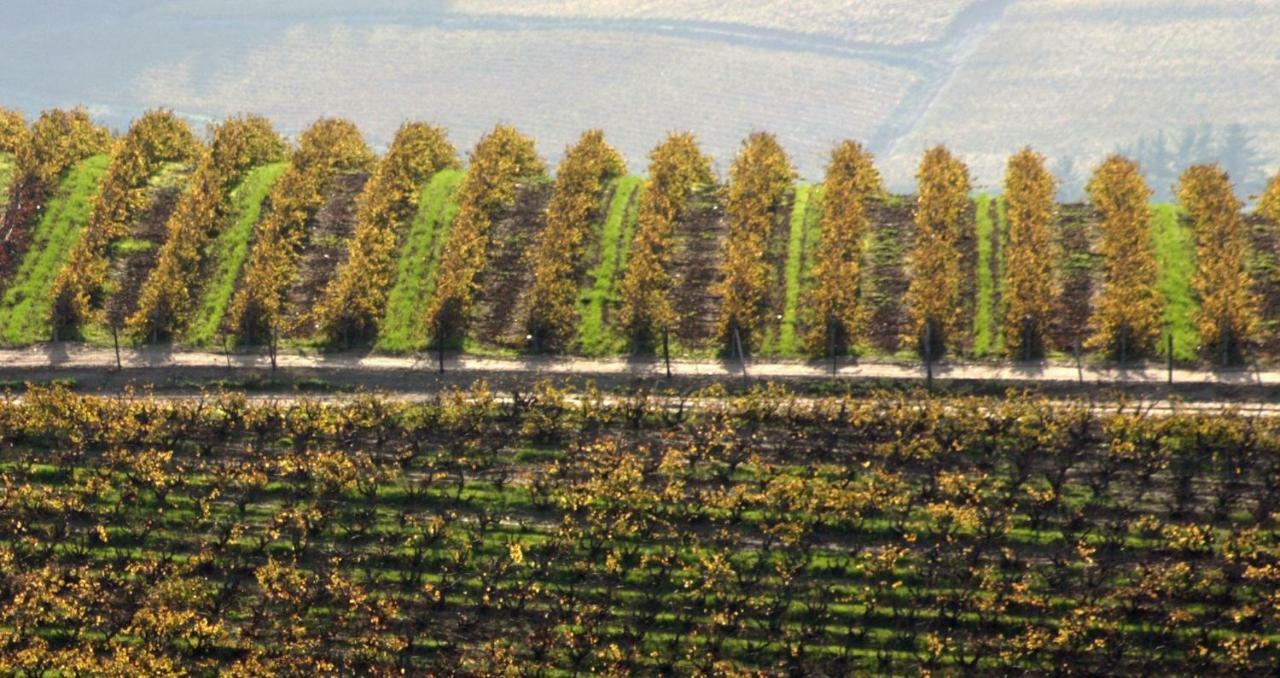 斯泰伦博斯Mooiplaas Wine Estate公寓 外观 照片