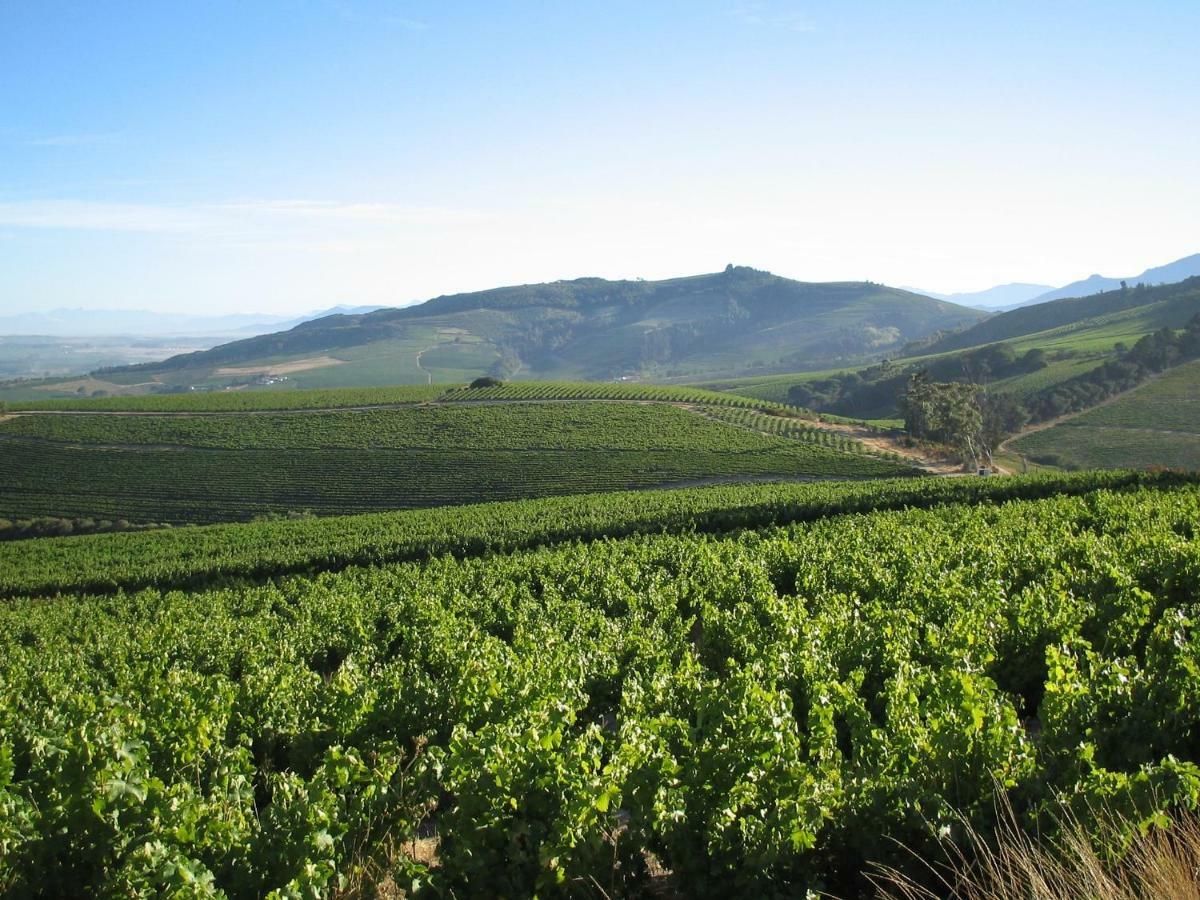 斯泰伦博斯Mooiplaas Wine Estate公寓 外观 照片
