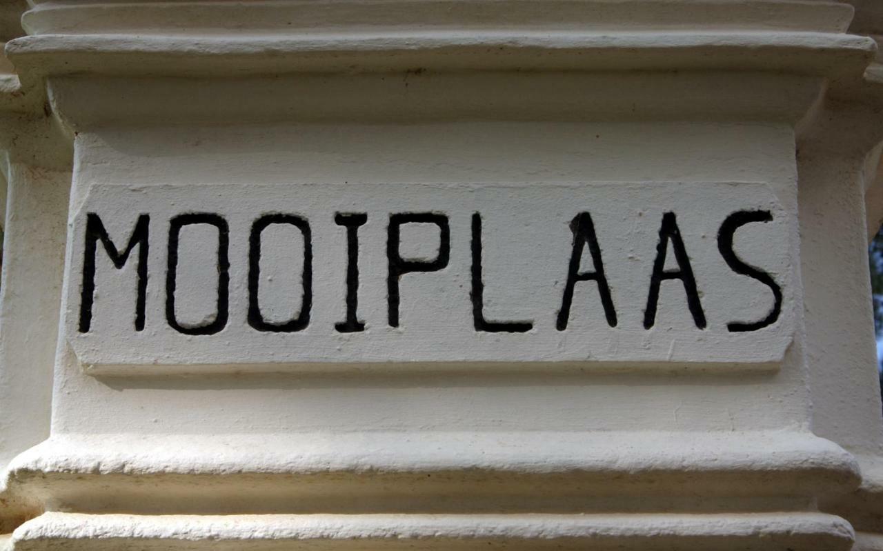 斯泰伦博斯Mooiplaas Wine Estate公寓 外观 照片