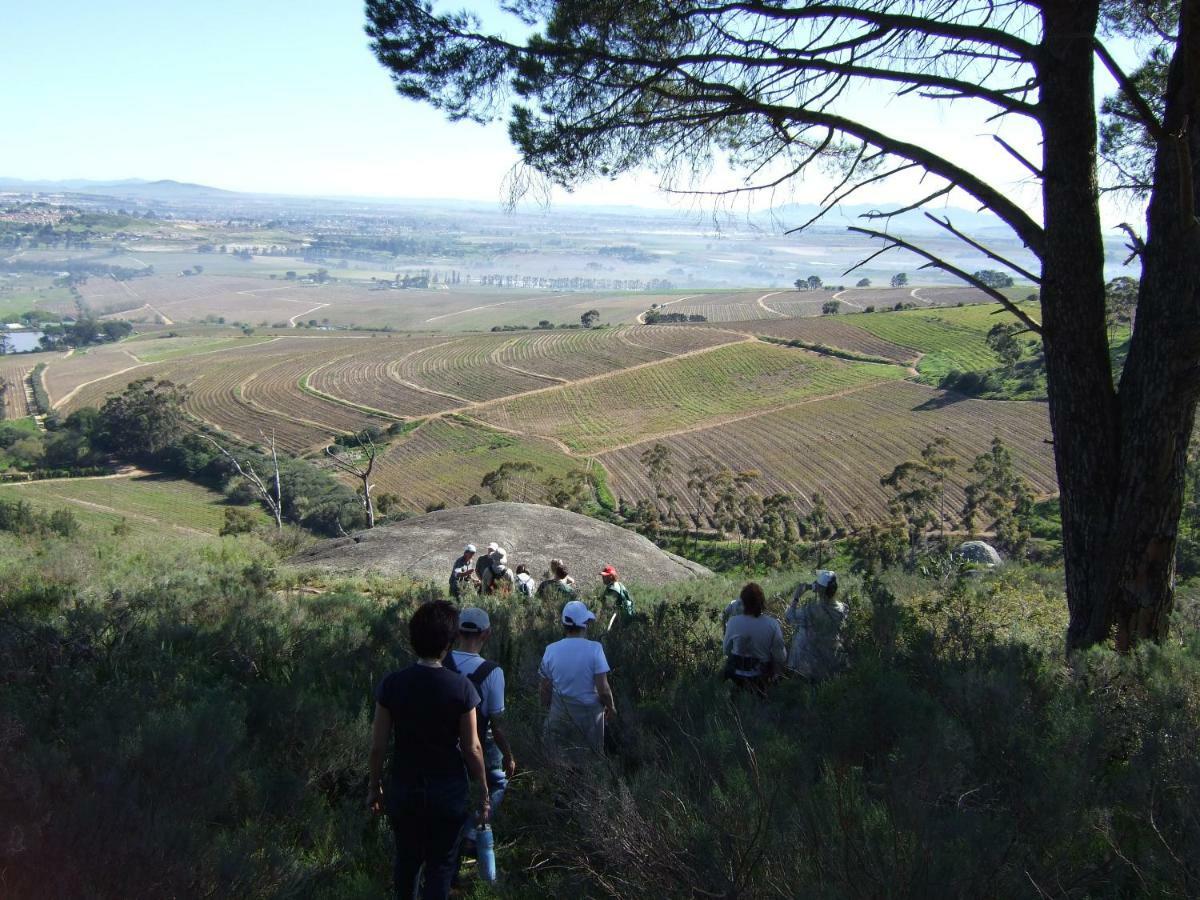 斯泰伦博斯Mooiplaas Wine Estate公寓 外观 照片