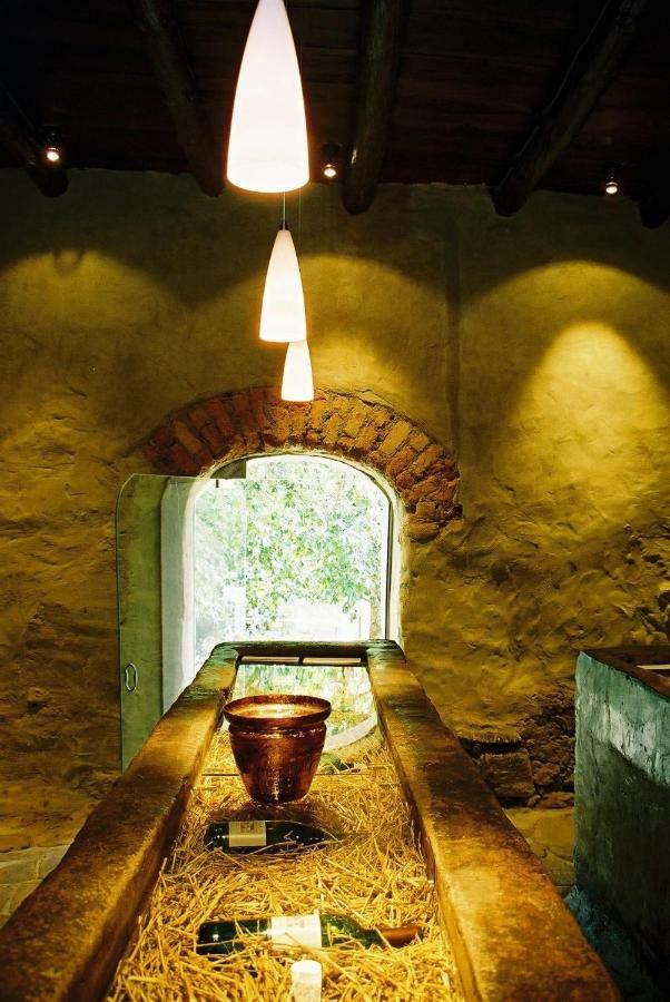 斯泰伦博斯Mooiplaas Wine Estate公寓 外观 照片